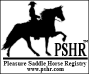 Pleasure Saddle Horse Registry